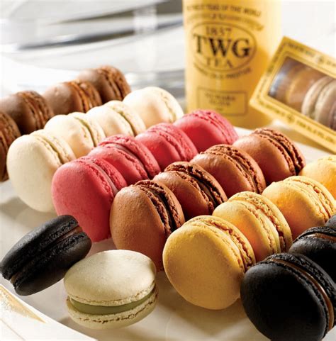 3/20僅此一天！TWG Tea茶香馬卡龍「買一送一」 全台精品門市 .